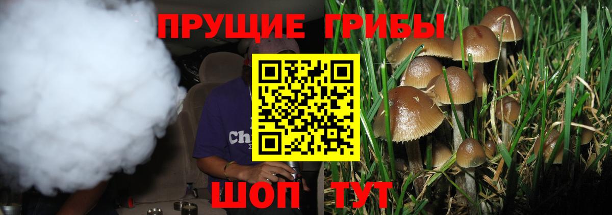 Галлюциногенные грибы Psilocybe  Вход с VPN  Арзамас 